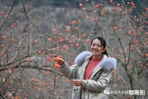 又见福建古村那一抹柿子红，你怎能错过？