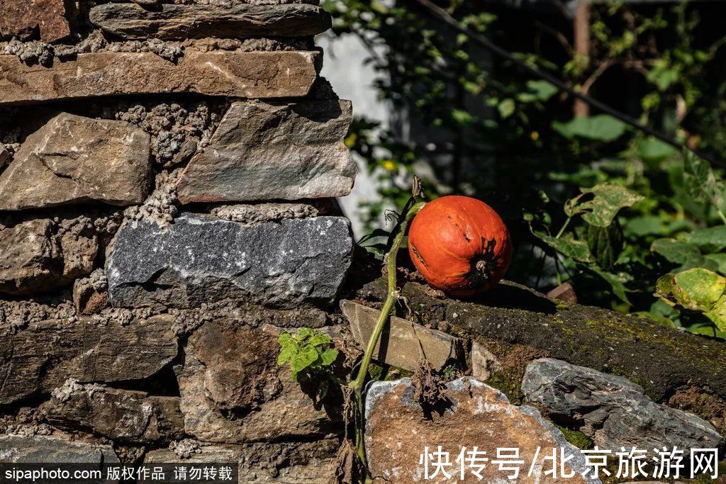 万寿公园|周末出发！北京这些好去处，轻松搞定带爸妈出门旅行~