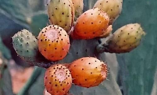 女性过了30，常吃3种食物，排毒养颜，美容护肤，让你变得更年轻