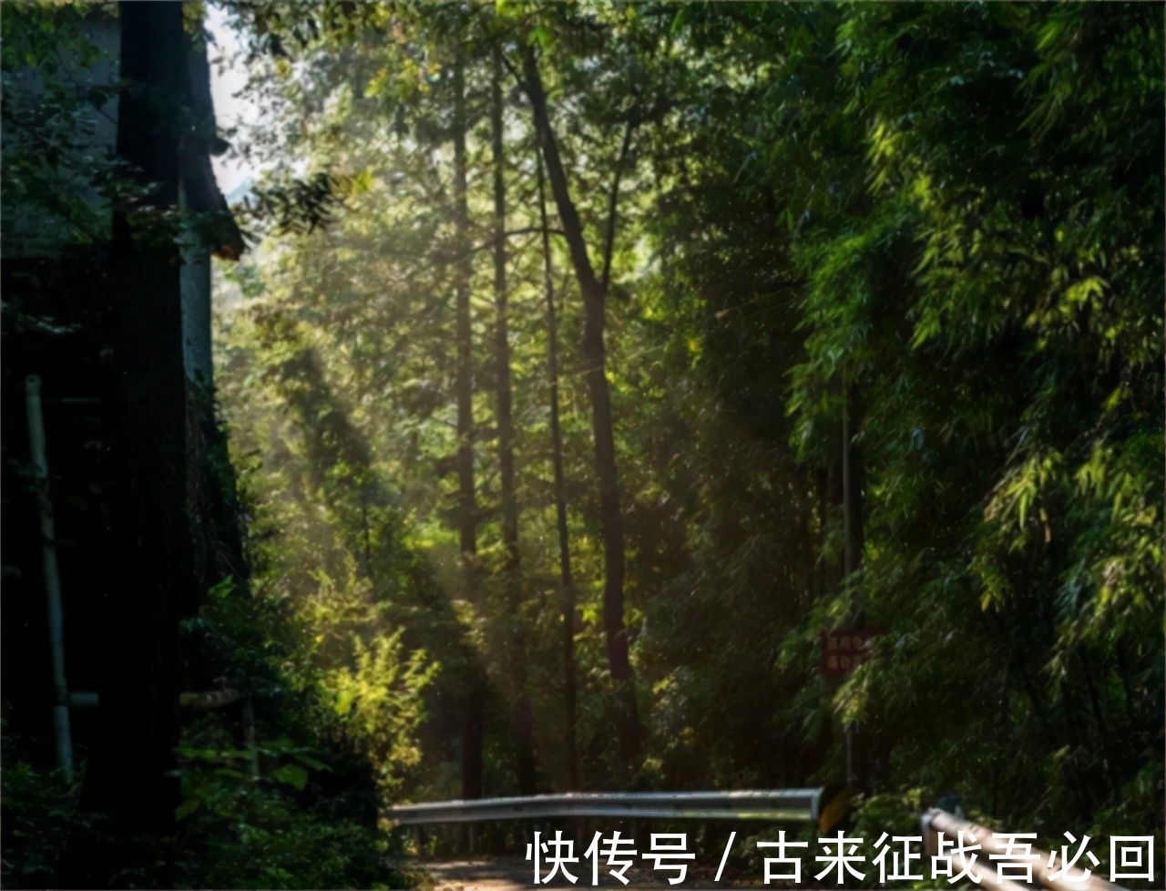 技艺|竹海飞人8岁爬竹子,年过半百仍在竹上行走,今无人传承境地尴尬