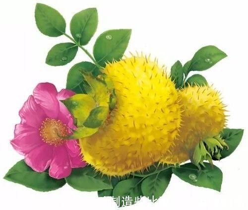 番荔枝|女性过了40岁,常吃3种食物,清热排毒,刮油清脂,消除疲劳