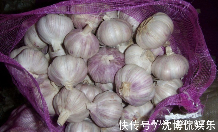原来保存大蒜这么简单,只需撒一把,放一年也不会干瘪发芽,实用