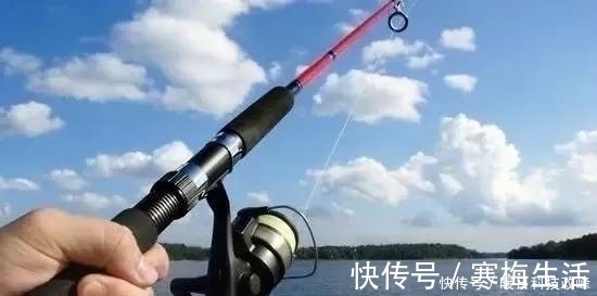 神经素|钓鱼老是空军?掌握这几个细节,新手也能爆护