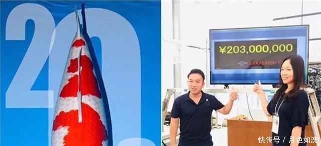 不顾|当年不顾父母反对,回家养鱼的清华才女钟莹莹,今一条鱼卖上千万