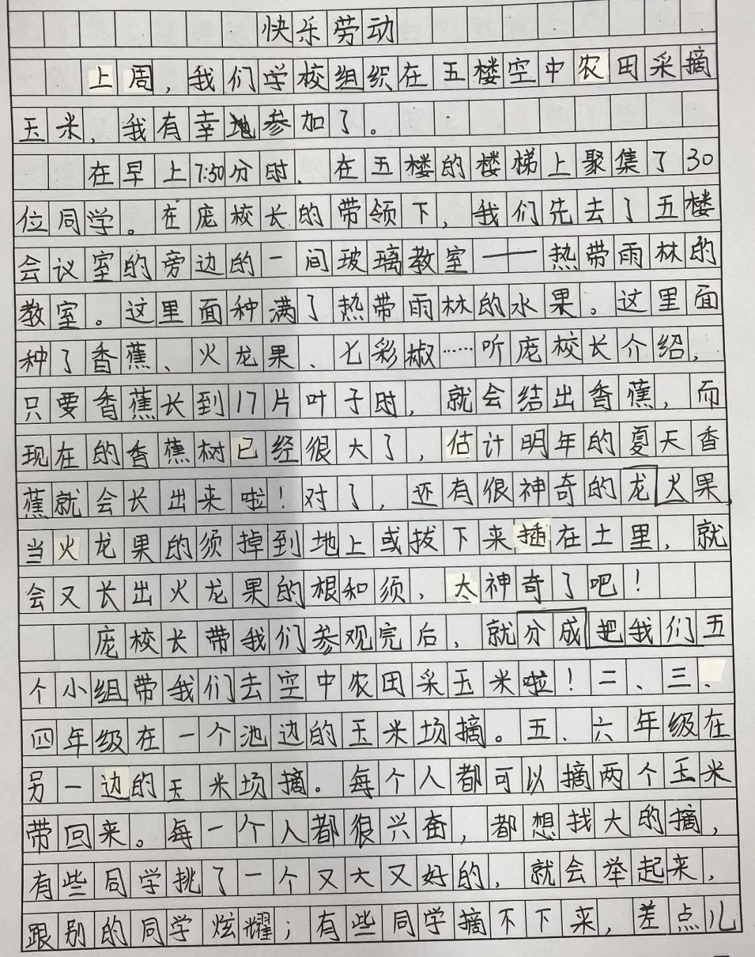 农场|“双减”之下，且看实小福溪校区如何给劳动教育做“加法”