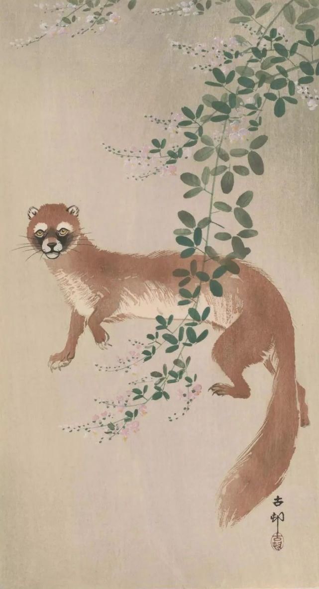 日本绘画大师的花鸟画，淡雅清新