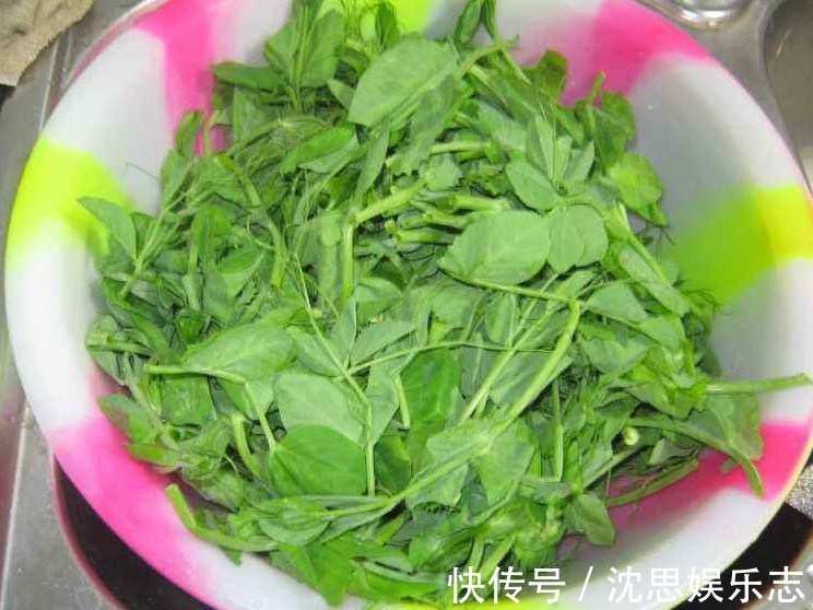 清香|8月养生吃什么推荐三种食物，排毒养颜，通便利尿，早吃早好