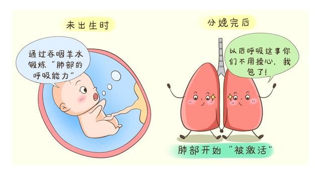 技能|胎儿为什么能在羊水里呼吸、睁眼睛？揭秘其在“水”中的隐藏技能