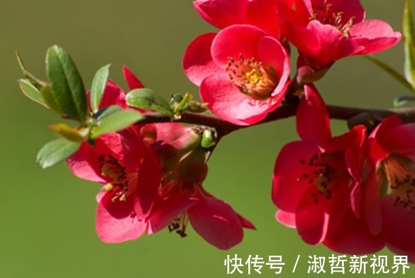 老婆|谁家老婆生日在农历这5天,三生有幸,你把财神带回家了!