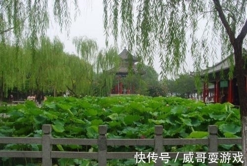 俗务&曾巩的一首七律,炼字精准,充满悠闲之意,令人仿佛身临幻境