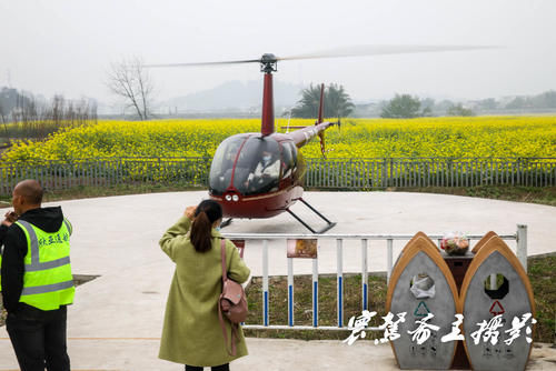 解密潼南的陈抟故里景区，来这里观赏油菜花海已成了水陆空全覆盖