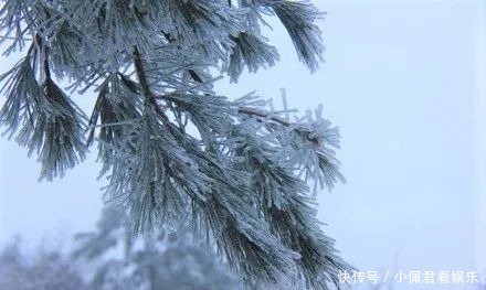 雾凇|雾凇奇观、百里云海！就这两天，快来北湖区仰天湖！