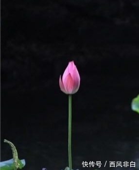 学说|黄帝内经:诸病皆由心病起,心若安时百病消。再论真气精神之根源