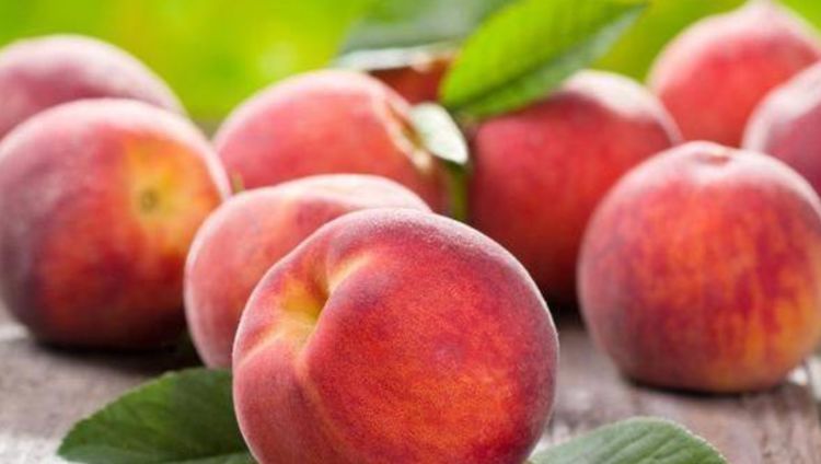 柠檬|人到中年想长寿,不妨多吃3种蔬菜,清暑解烦,提高免疫力!