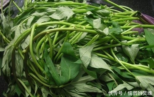 空心菜|5月常吃这些蔬菜,通便解毒,护视力,美容防衰老,聪明人都在吃