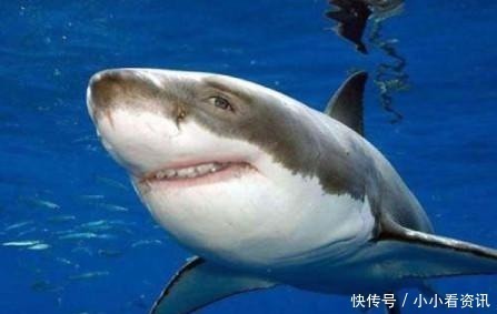 n10个趣味冷知识！咽下口香糖，肚里呆7年吗