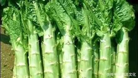 家里有痛风患者要牢记,3种多吃,6种不吃,保证痛风不再犯!