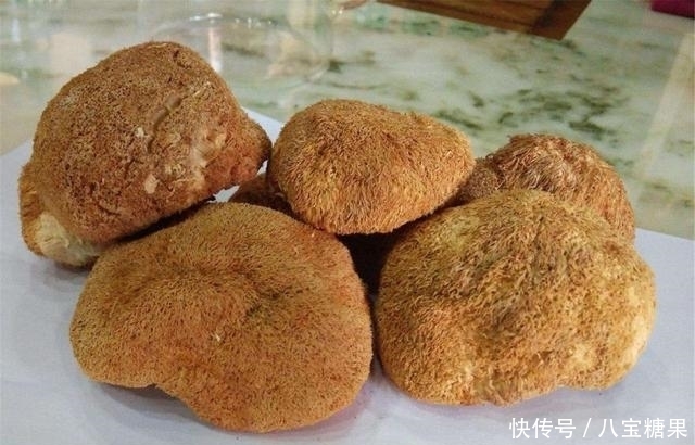 猴头菇|幽门螺杆菌的“敌人”出现了,饭前吃两口,助你把“胃炎”吓跑