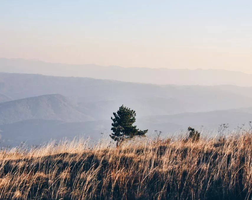 欧阳修！“唐宋八大家”的经典名句，会背一半算你厉害