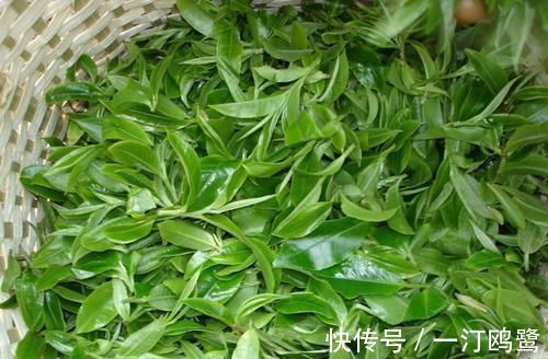 血管|得了高血脂别担心!5种食物可有效降血脂,让血管干净如新!