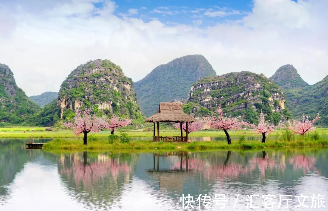 三生三世十里桃花|青丘缘起，荷海芳华，除了荷花，你还能在普者黑看到什么？