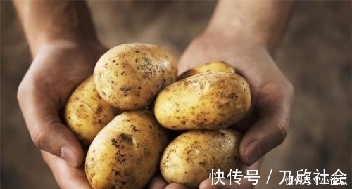 白心土豆和黄心土豆,营养上有区别吗?告诉你日常炒菜,选哪一种