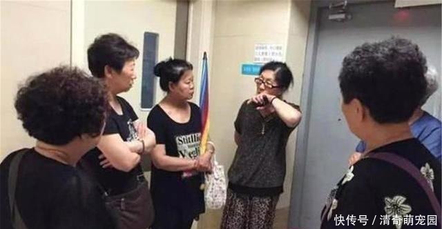 宝妈|“你剁肉吵醒我孙子了！”熊家长上门质问，宝妈霸气回怼很解气