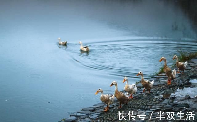 儒家思想！“修身齐家治国平天下”的出处在哪里？字数不多，每一句都是玉言