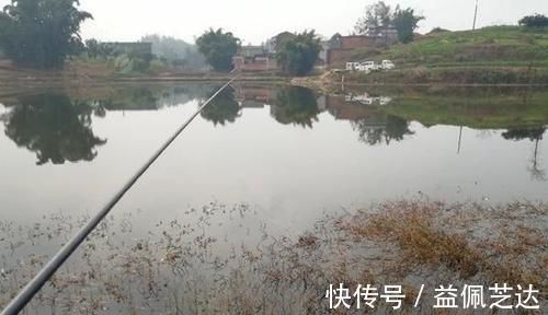 动作|气温低遇上轻口鱼，做好这些调整，浮漂动作再小，提竿也能中鱼！