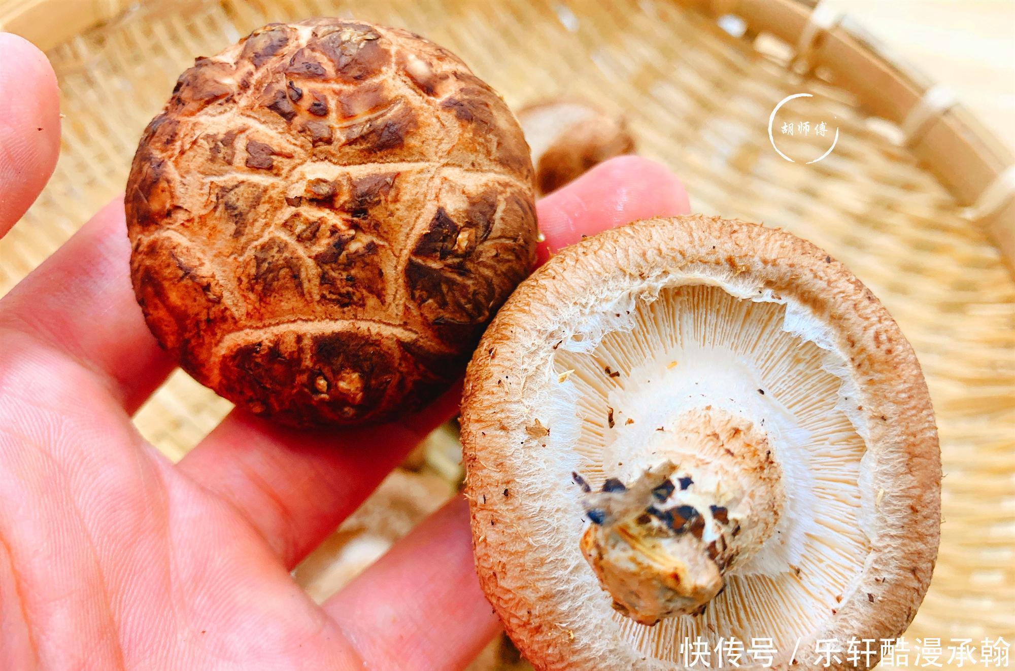 买香菇时,买“轻的”还是“买重”的差别挺大,弄懂再买心有底