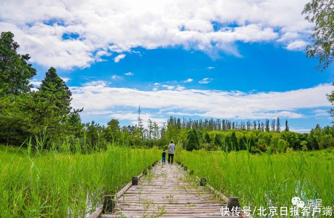 秋天|收藏这组高清图片！带给你天朗气清的北京秋天