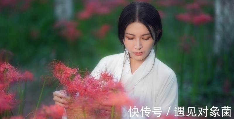 鸣蛙@诗·八首丨朝游野岭寻佳句,晚向渔樵举酒壶