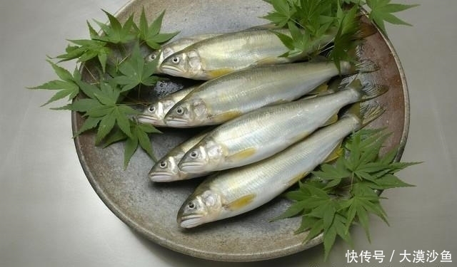 烹饪|6种湖河海鲜,简单烹饪即可尝鲜,你可能全听过,但不一定全吃过