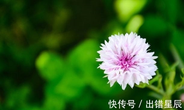 贵人|7天后，运势逆袭，旧梦重温，主动道歉，摆脱过去，余生不分离