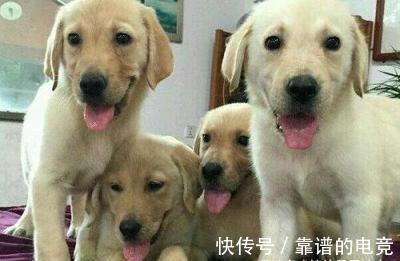 |内涵段子:坐公交车,旁边站了个穿超短裙的美女