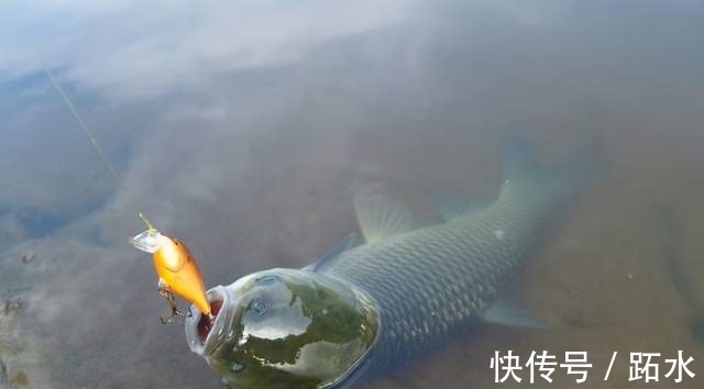 使用爆炸钩,这两个技巧都不掌握,饵料再好也白搭