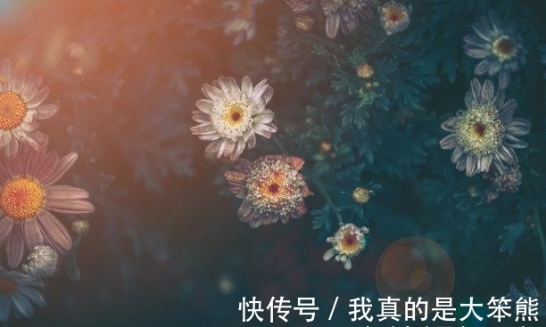 喜事|还有二周，爱情如初，喜事成双，重新接受，旧爱回归，旧爱回归