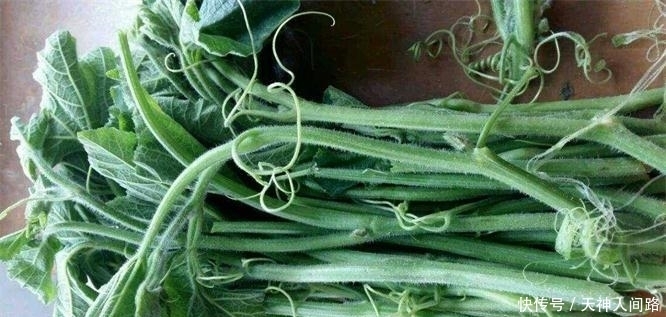 想要身体好,不妨多吃3种食物,美容养生,提高免疫力!