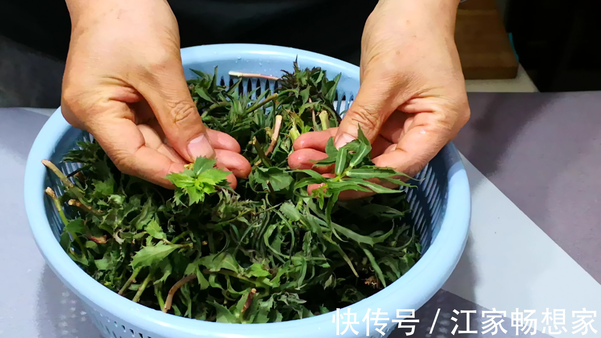 鲜嫩|此菜浑身都是宝,很多人却当草,鲜嫩营养高,蒸着吃特香!