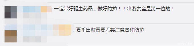 注意!假期出游当心蜱虫隐翅虫等毒虫