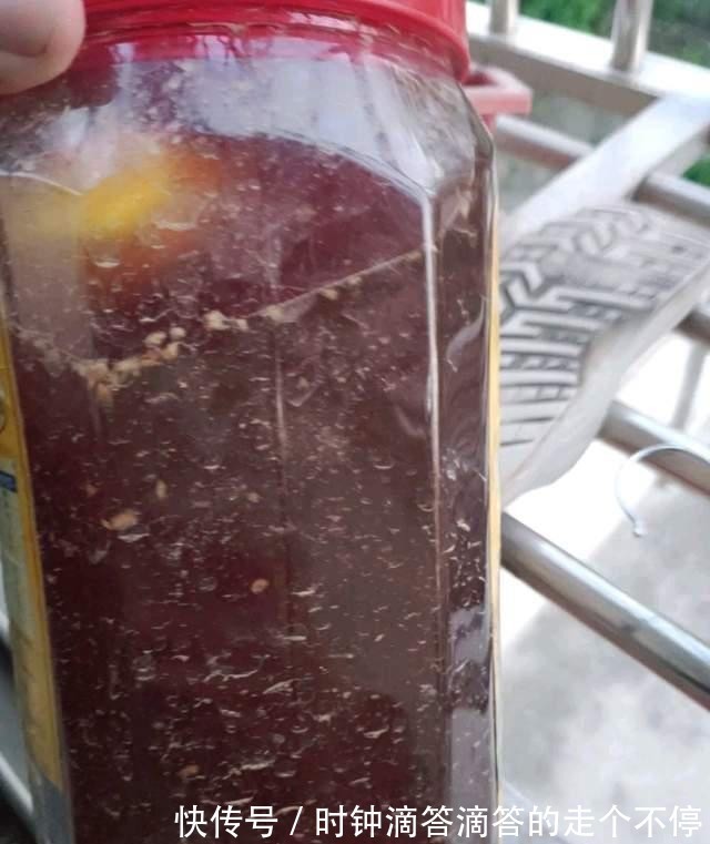 养花|发酵淘米水臭气熏天，里面加点小东西，发酵快没异味，养花真棒