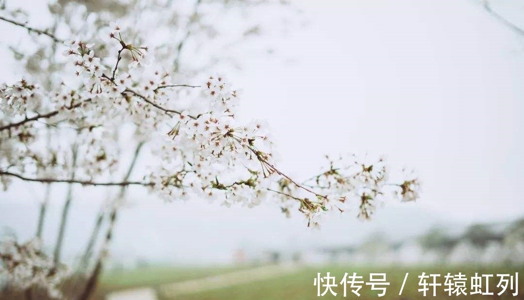 梅花#飞雪寄乡愁词两首,雪落倾城,念在心中,莫惧深冬寒,春天不遥远