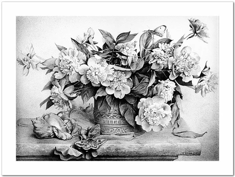 素描#乌克兰画家丹尼斯·切尔诺夫-头像、静物素描