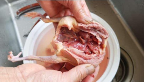 这才是鸽子汤的最正确做法，汤浓肉嫩不腥气，秘诀全都告诉你