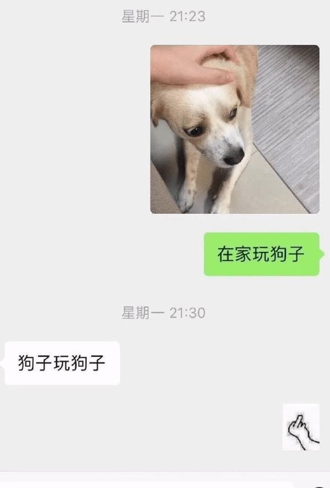 xswl|“你别过来，我怕猪，真是xswl了！” 哈哈哈......毫无求生欲