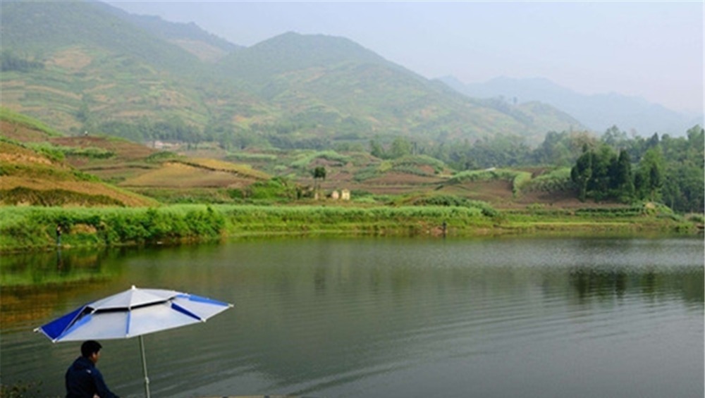 当代钓鱼人之“痛”：大包小包出门，两手空空而回，心是真的酸！