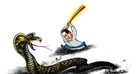 古有谚语“打蛇打七寸”,为何是打七寸?