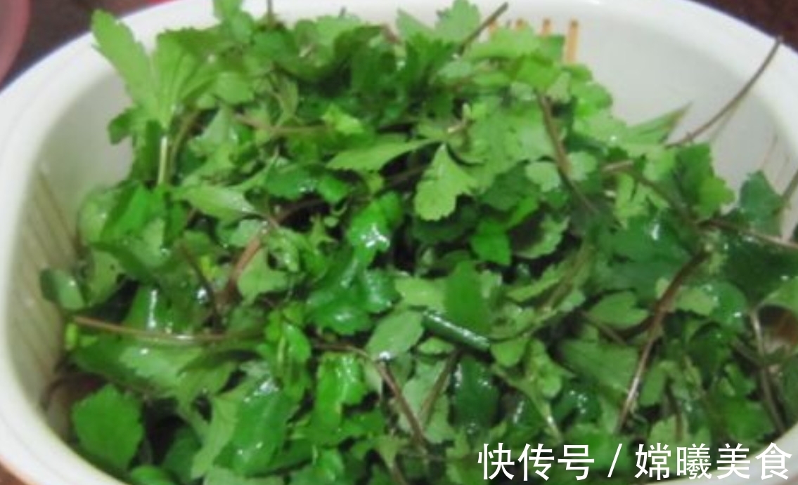 效用|南方地区特有的一种野菜,效用居然比益母草高,潮汕人用它煮汤喝
