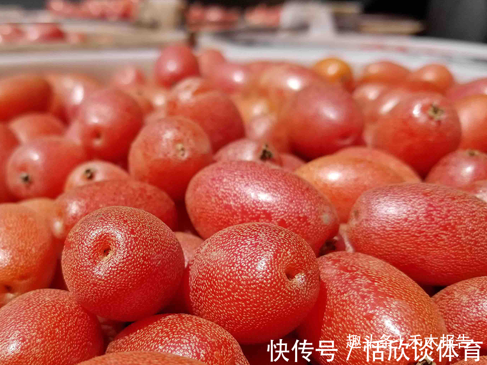 农村|儿时一摘十几斤,农村娃常当糖吃,如今30元一斤,是否值得种植?