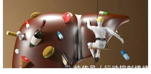 肝炎|每天认识一味中草,肝炎的“灭火剂”,敞开吃,肝一天比一天好